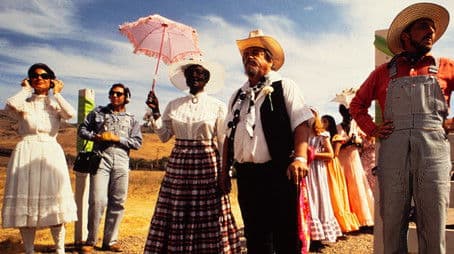 What in the Hell is Happening?