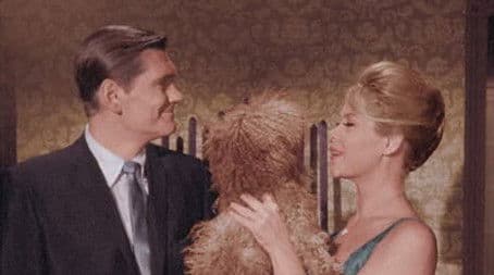 It Shouldn't Happen to a Dog