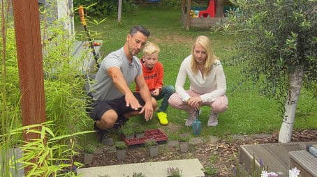 Favorite gardens (7)