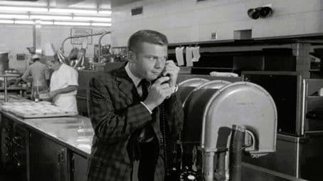 Lizard's Leg and Owlet's Wing