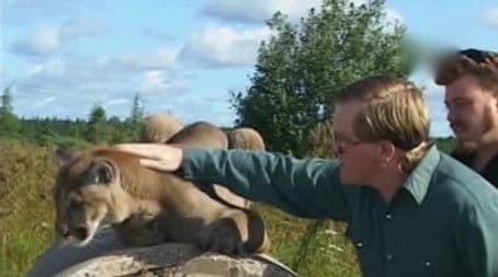 If You Love Something, Set It Free