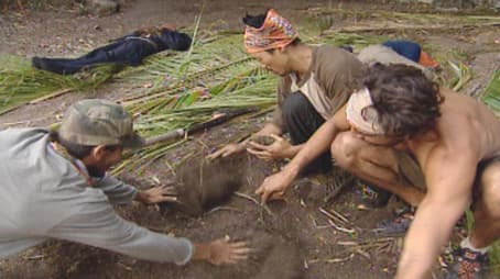 So You Think You Can Meke?