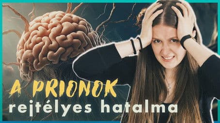 Az ÖLHET MEG, ami EMBERRÉ TESZ