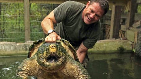 Cold-Blooded Killers