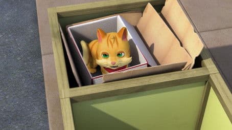 Cat in the Box