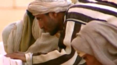 Joseph and his Multi-coloured Coat