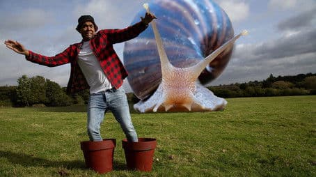 Animals Were Supersized?