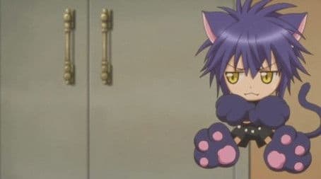 New Enemy!? Battle On Moonlight!