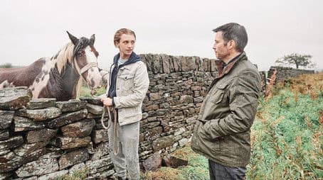 Fizza Goes Off The rails