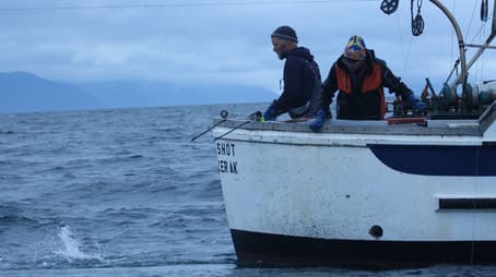 It Gets Shallow Fast