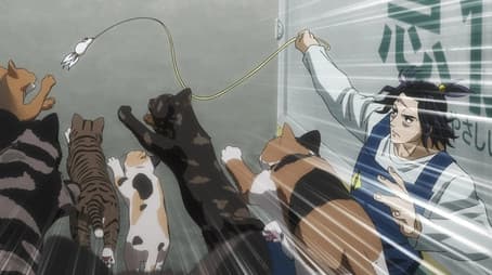 Tonight the Cats Steal the Stars