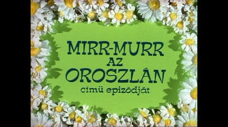 Mirr Murr, az oroszlán
