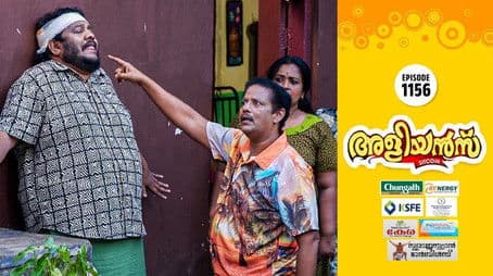 The Brothers' Cunning Plan