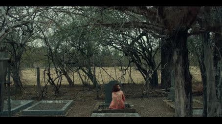 The Past is not Dead