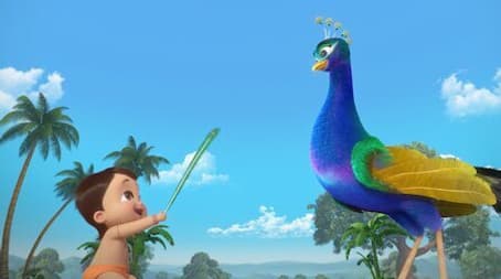 A Day with a Peacock