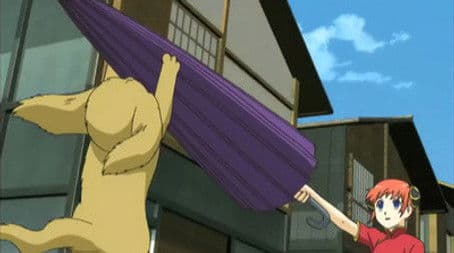 Cat Lovers and Dog Lovers Are Mutually Exclusive