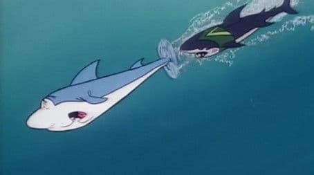 The Great White Shark