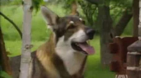 The Secret of Red Hill