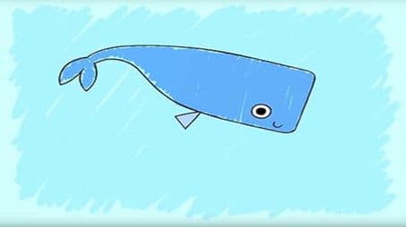 How to Draw A Whale