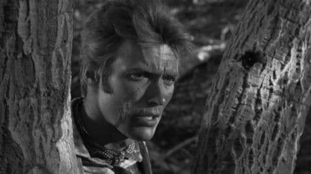 Incident of the Widowed Dove