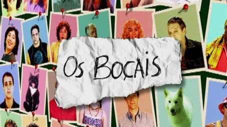 Os Boçais