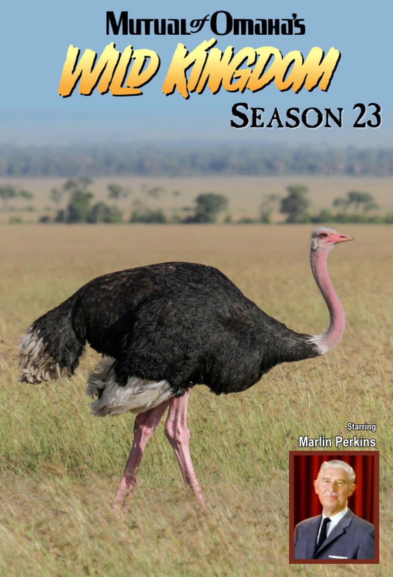 Season 23