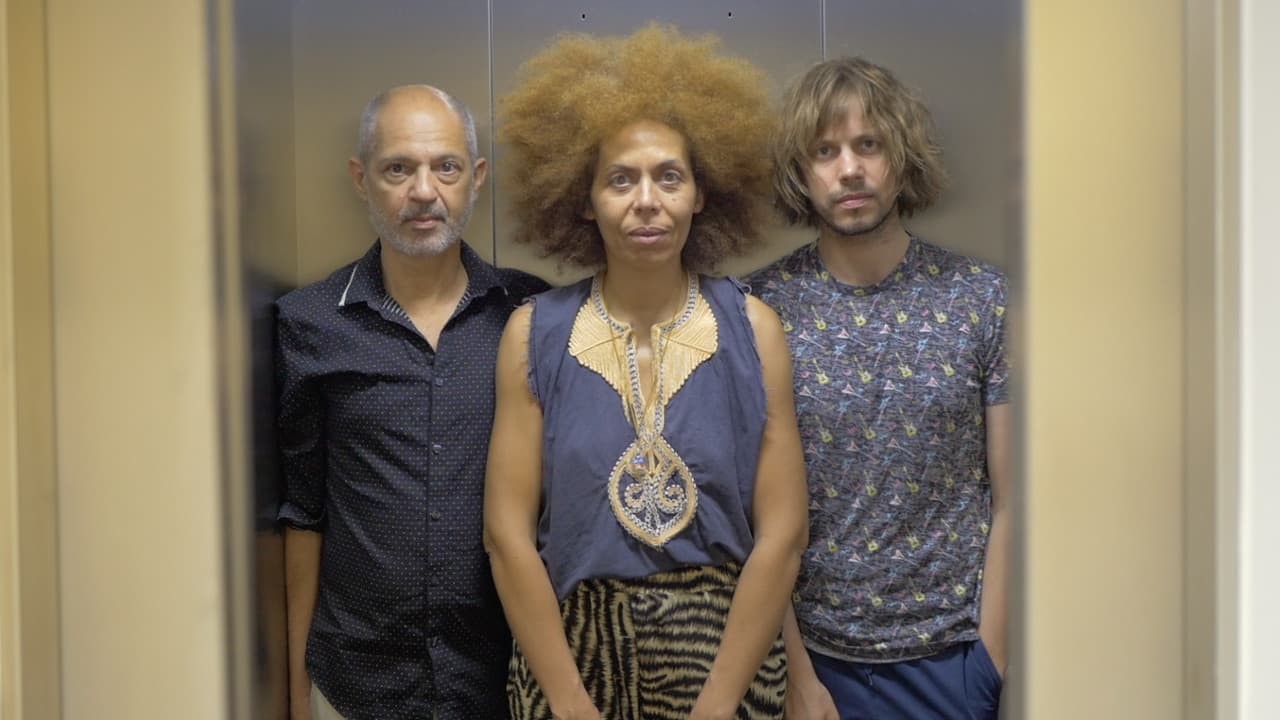 The Trees Were Spelling Love Backwards