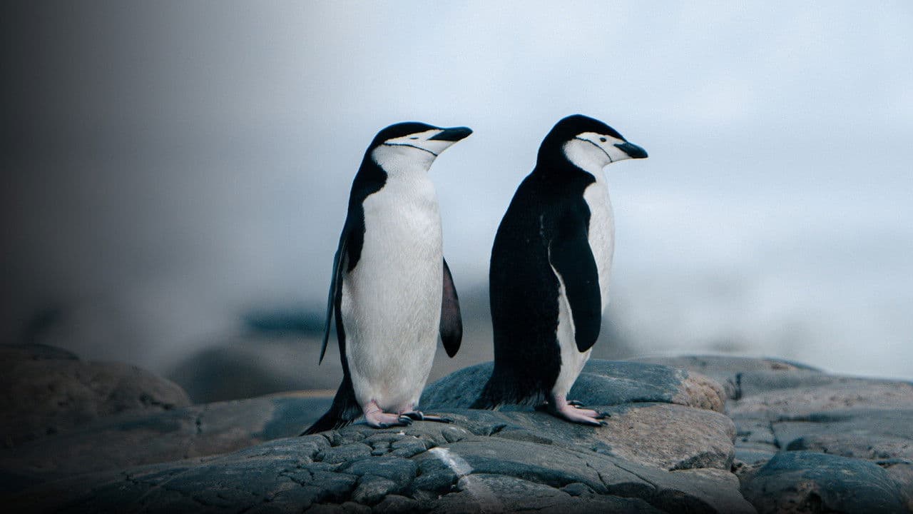 Animal Pride: Nature's Coming Out Story