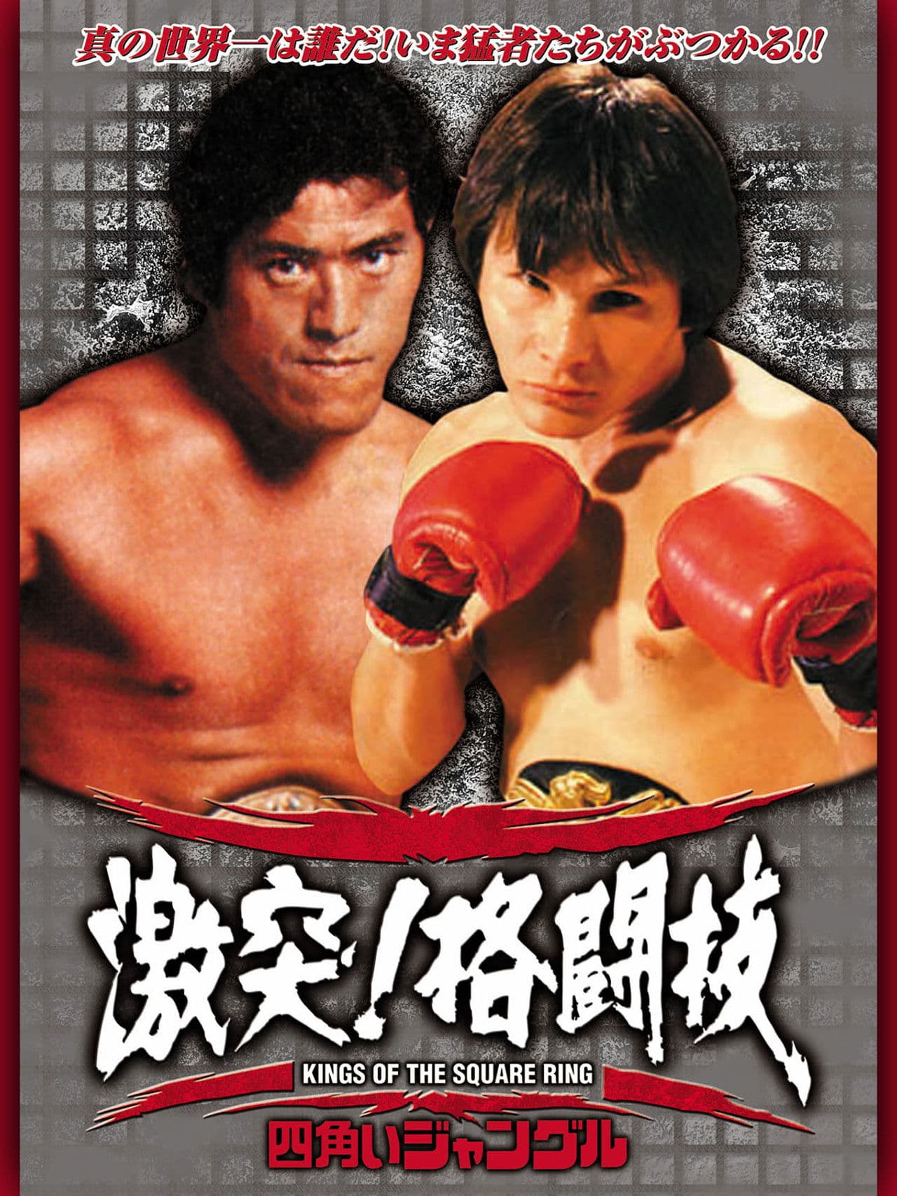 四角いジャングル 激突!格闘技