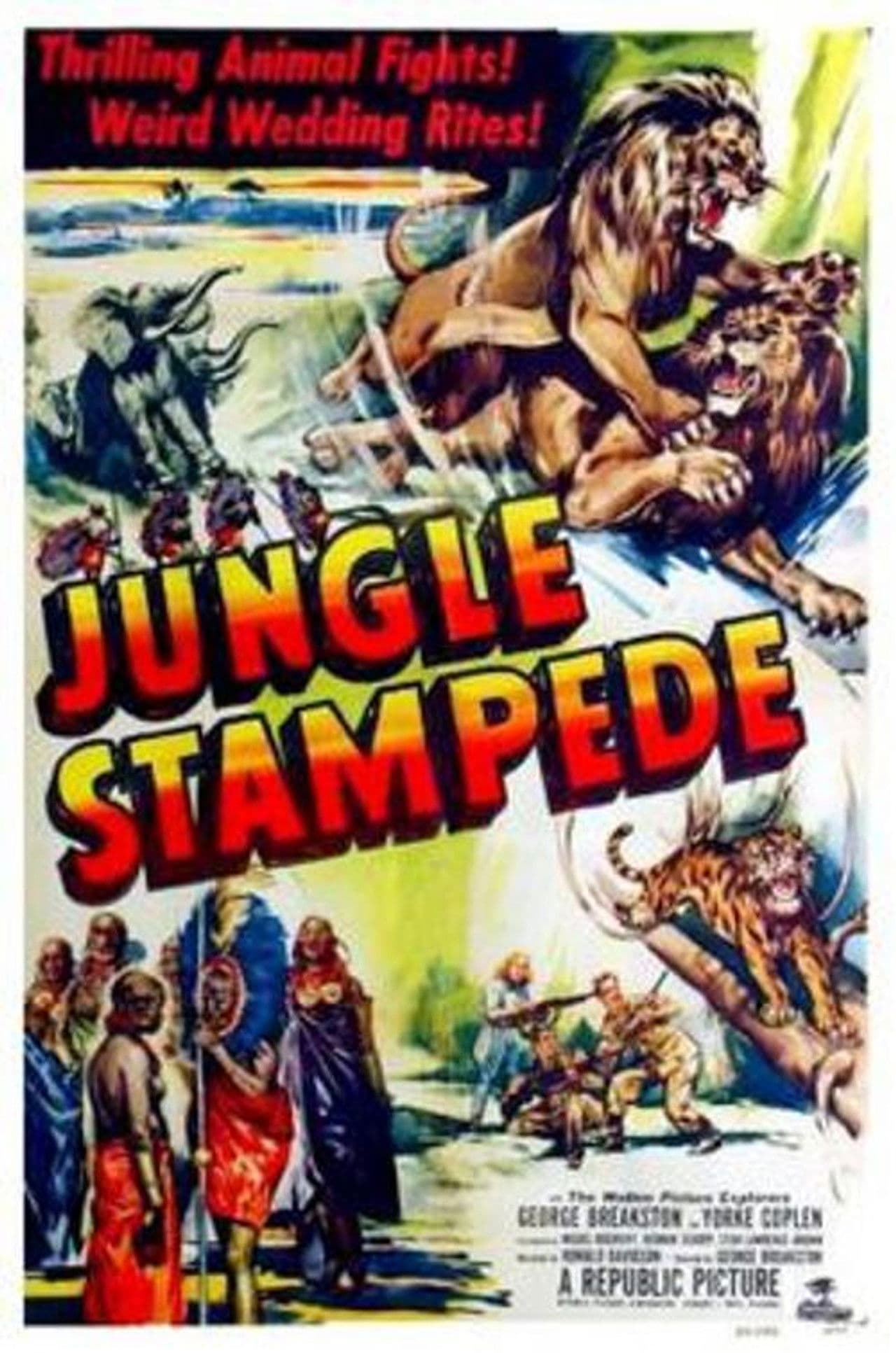 Jungle Stampede