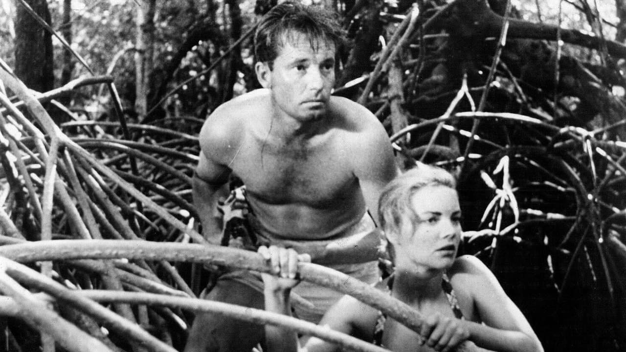 King of the Coral Sea