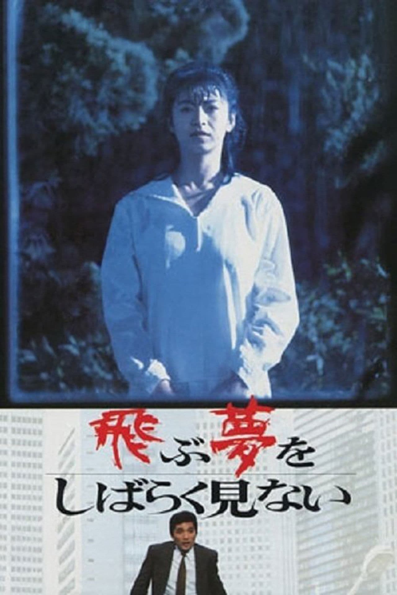 I Haven't Dreamed of Flying for a While