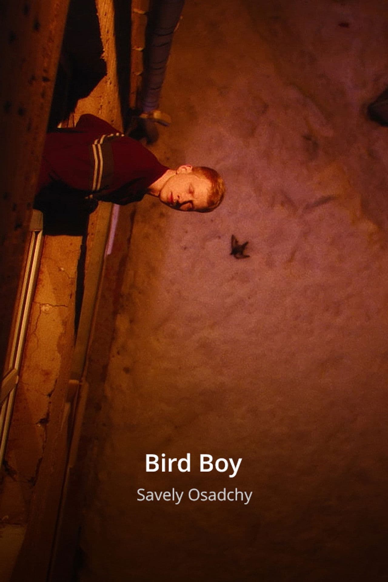 Bird Boy