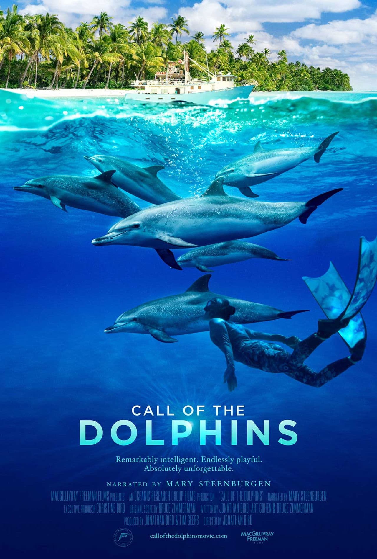 Call of the Dolphins