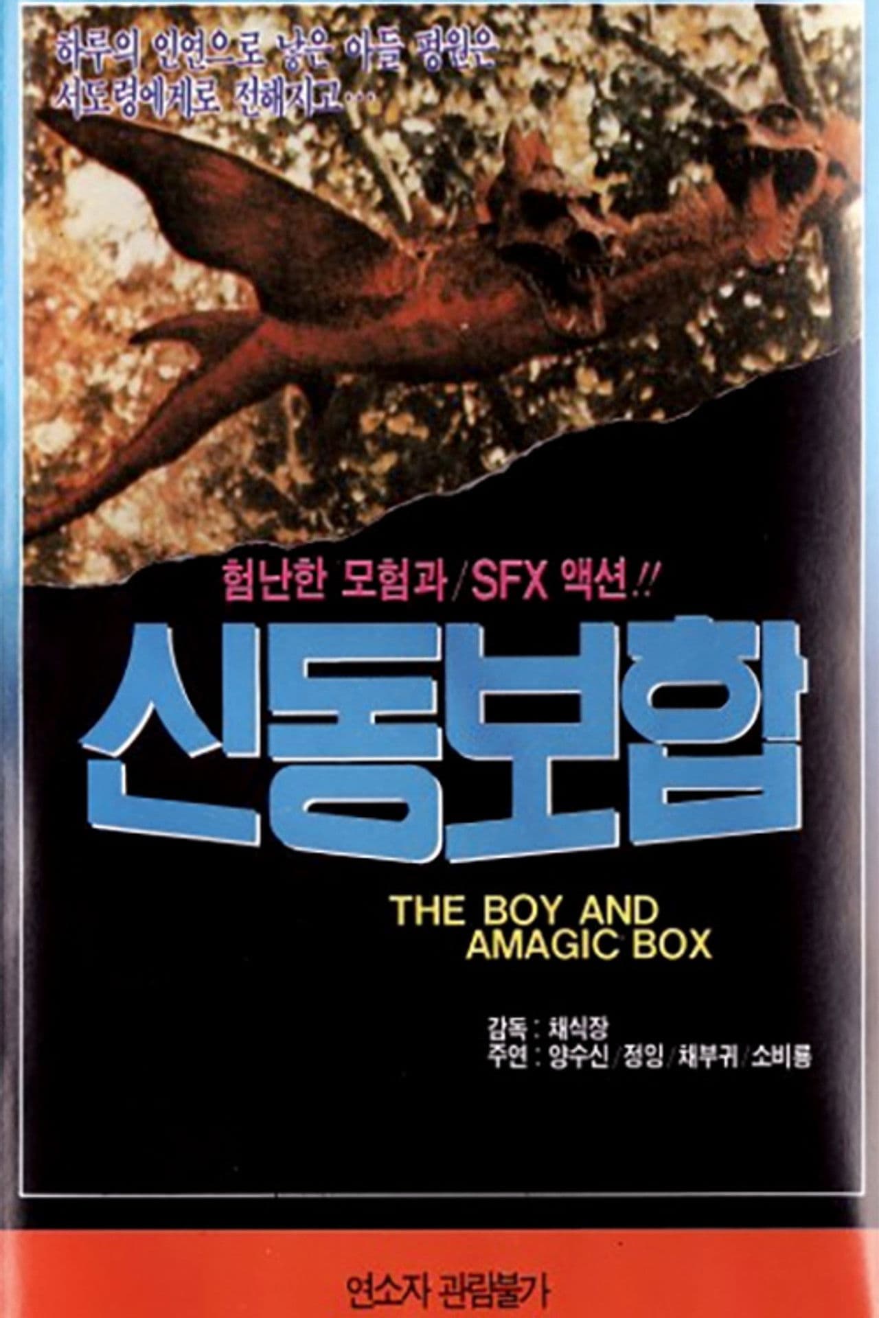 The Boy and a Magic Box