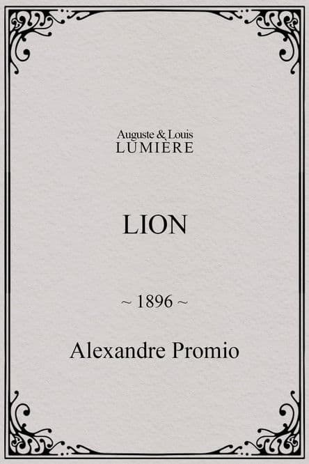 Lion, London Zoological Gardens