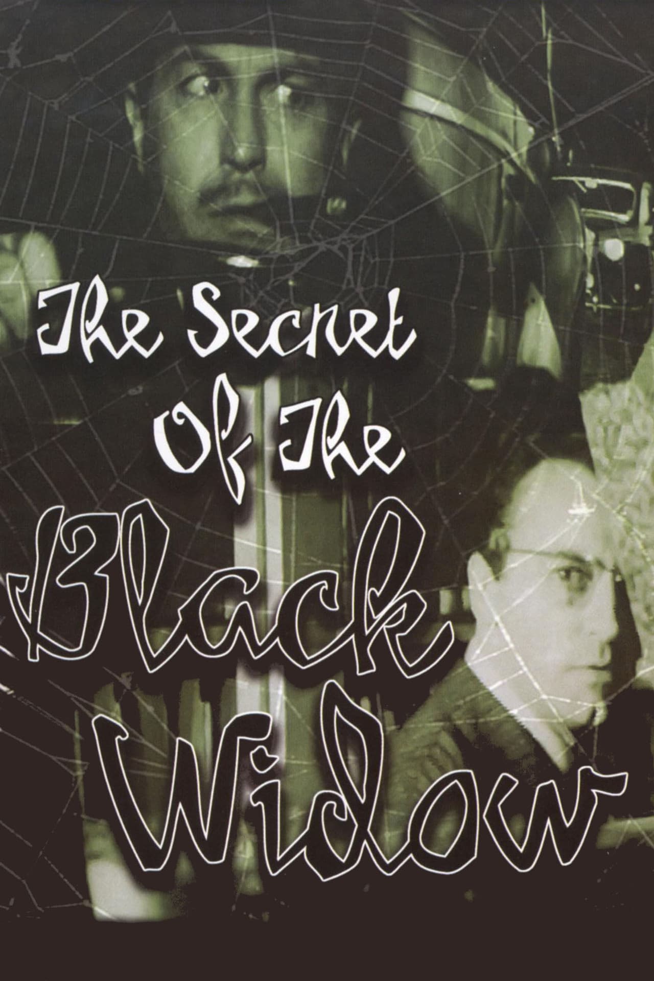 The Secret of the Black Widow