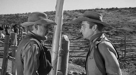 Incident of the Night Horse