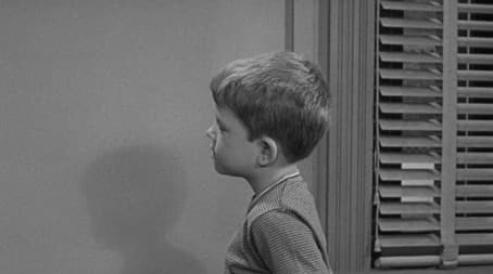 The Farmer Takes a Wife