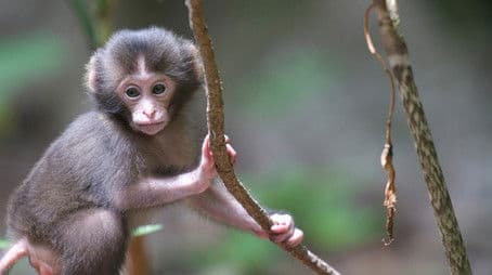 The Southwest Islands