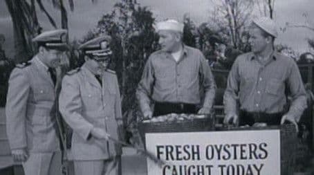 Creature from McHale's Lagoon