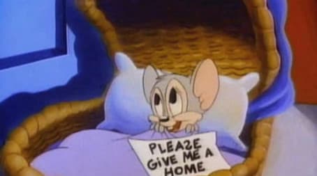 Looking Out for the Little Guy