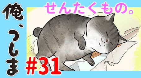 WEB Animation - #31 Laundry