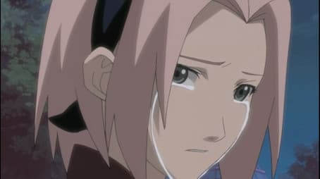 An Invitation from the Sound