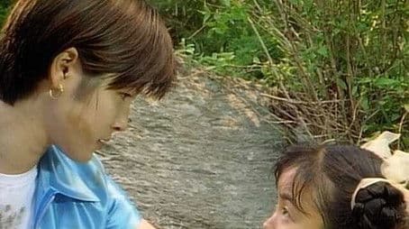 A Lying Heart Under Adjustment