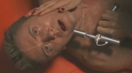 The Divinity Cluster