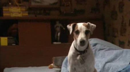 Oliver's Best Friend