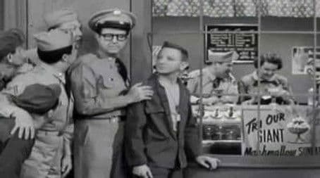 His Highness Doberman