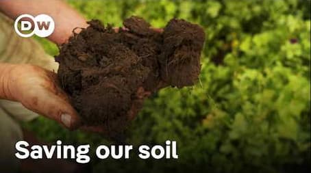 How farmers are protecting the soil and our food security