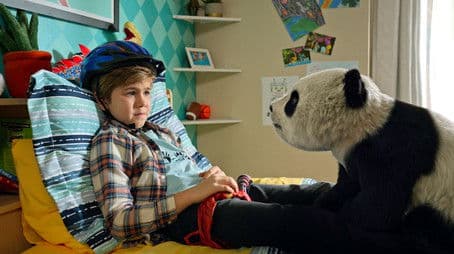 Ailuropoda melanoleuca